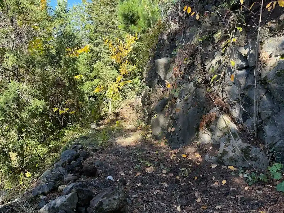 camino abajo